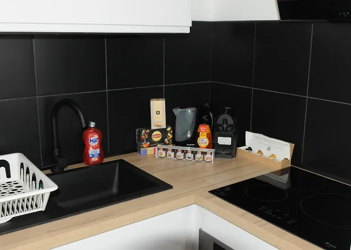 L'oracle Albinos Apartamento Nimes