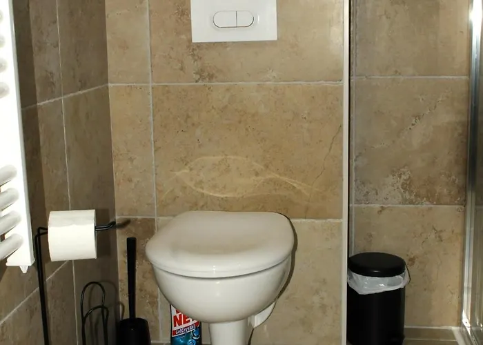 L'oracle Albinos Nimes